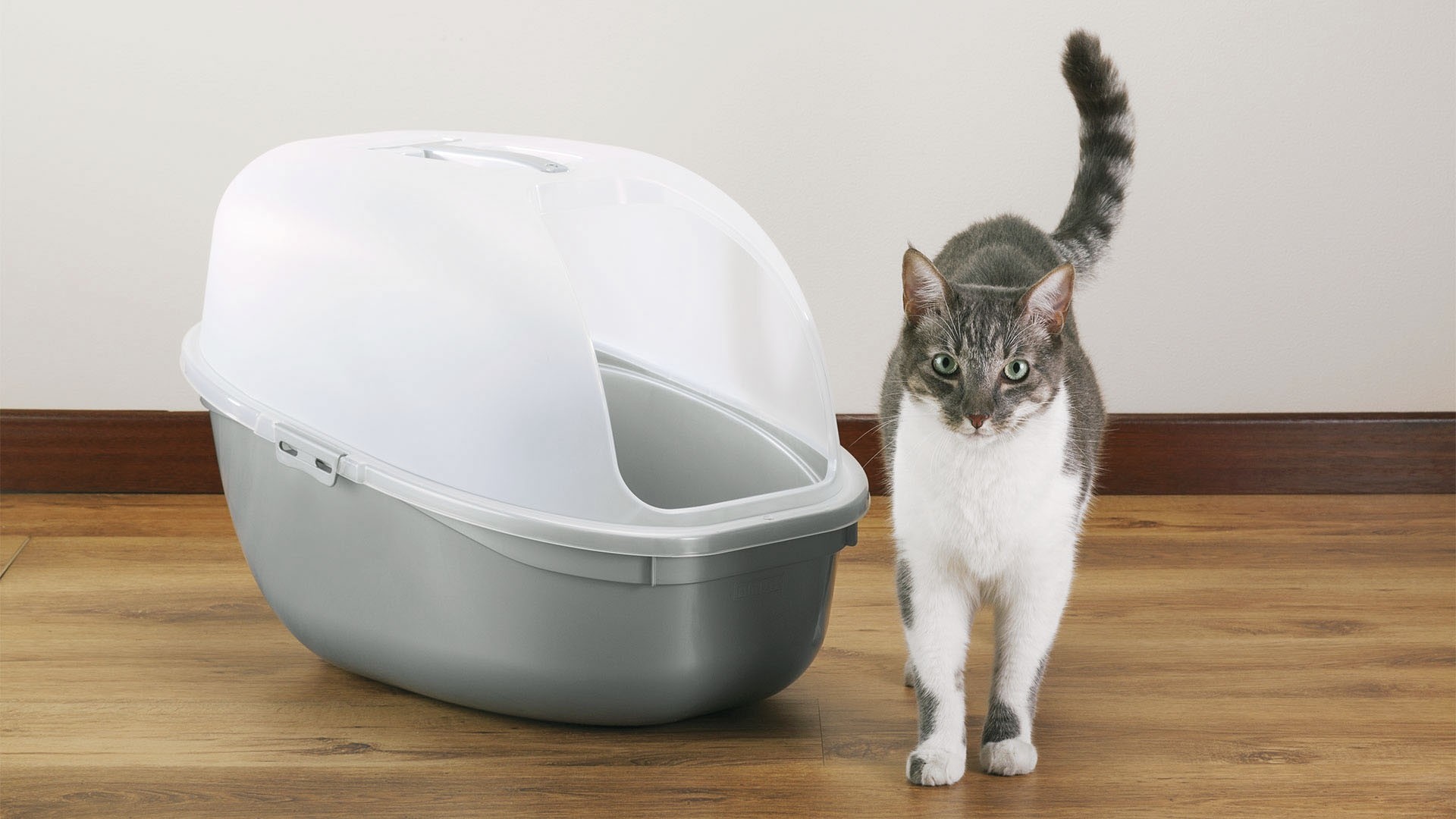 Arenero para Gato con Tapa y Pala color Gris Metal