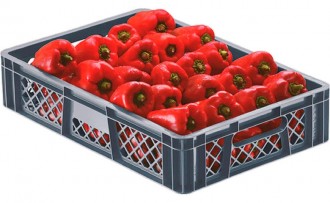 Canastilla 13 Cm Rombos Rombo