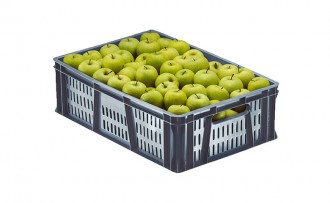 Canastilla 18.5 Cm Lineal Lineal