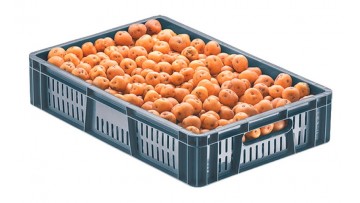 Canastilla 13 Cm Lineal Lineal