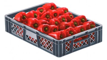 Canastilla 13 Cm Rombos Rombo